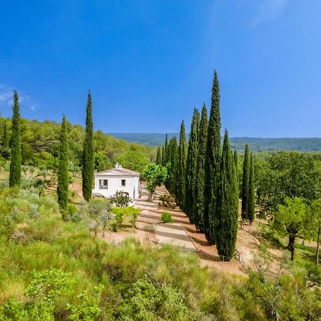 Le Clos Celine Flayosc Exterior photo